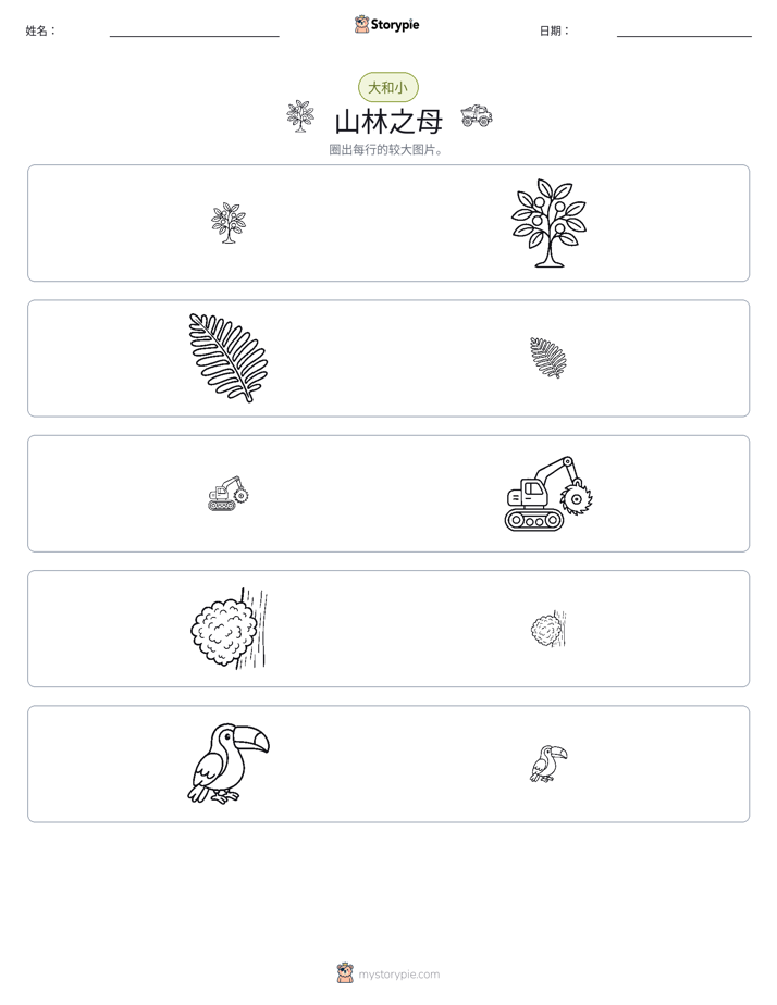 分类