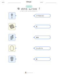 ボチカ - ムイスカ の印刷可能ワークシートプレビュー