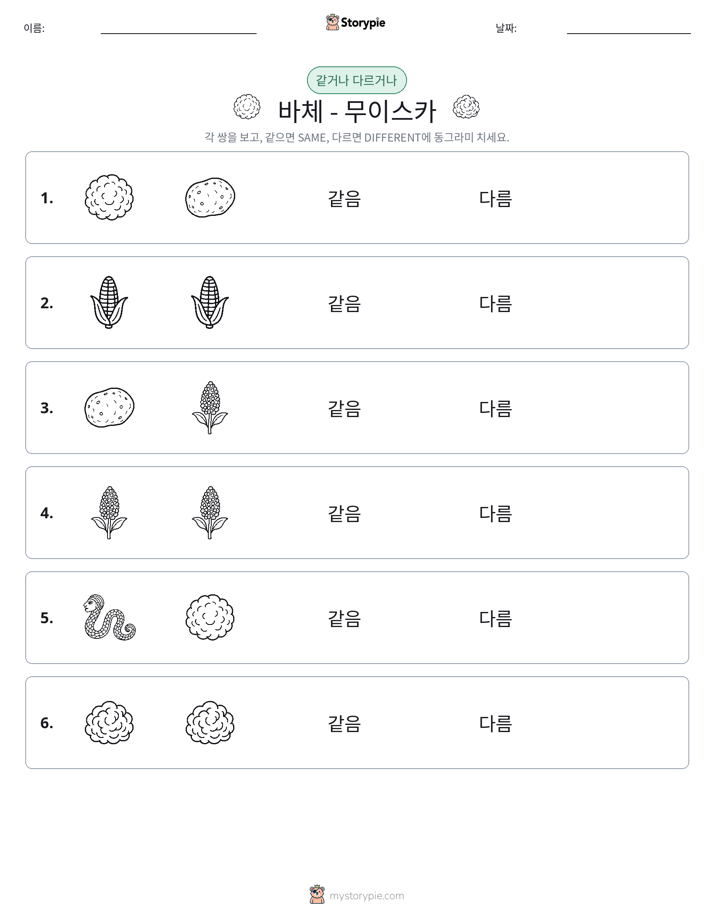 같은 것 또는 다른 것