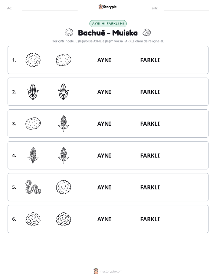 Aynı mı Farklı mı