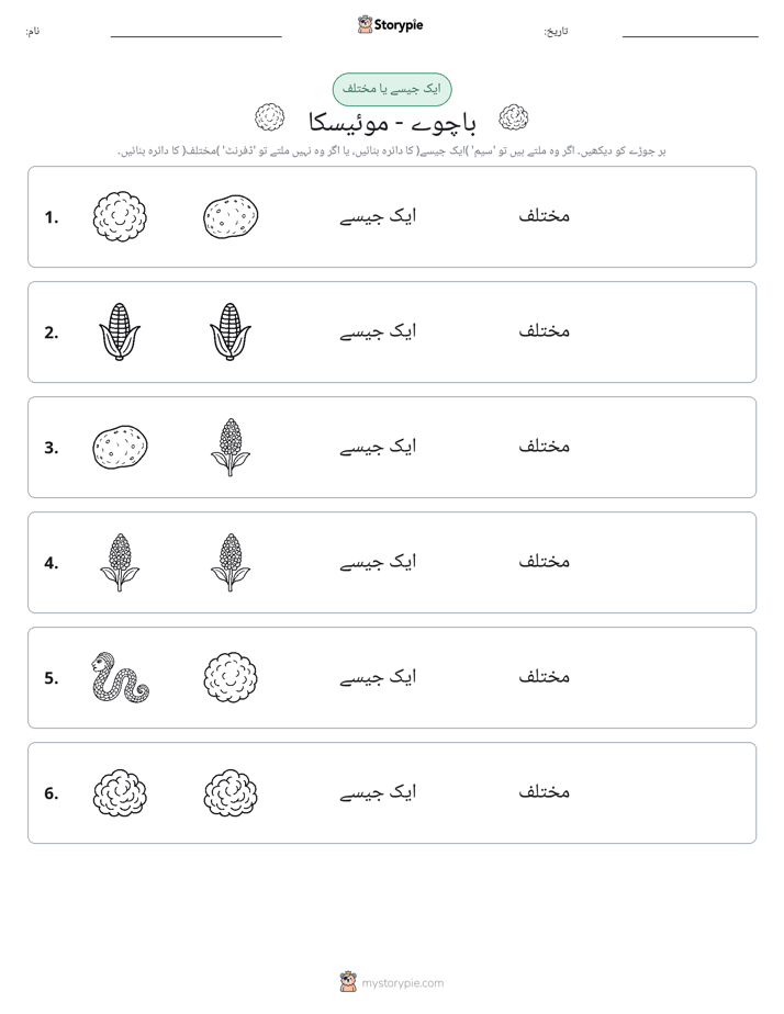 ایک جیسا یا مختلف