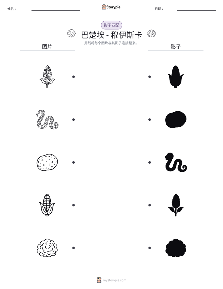 影子匹配