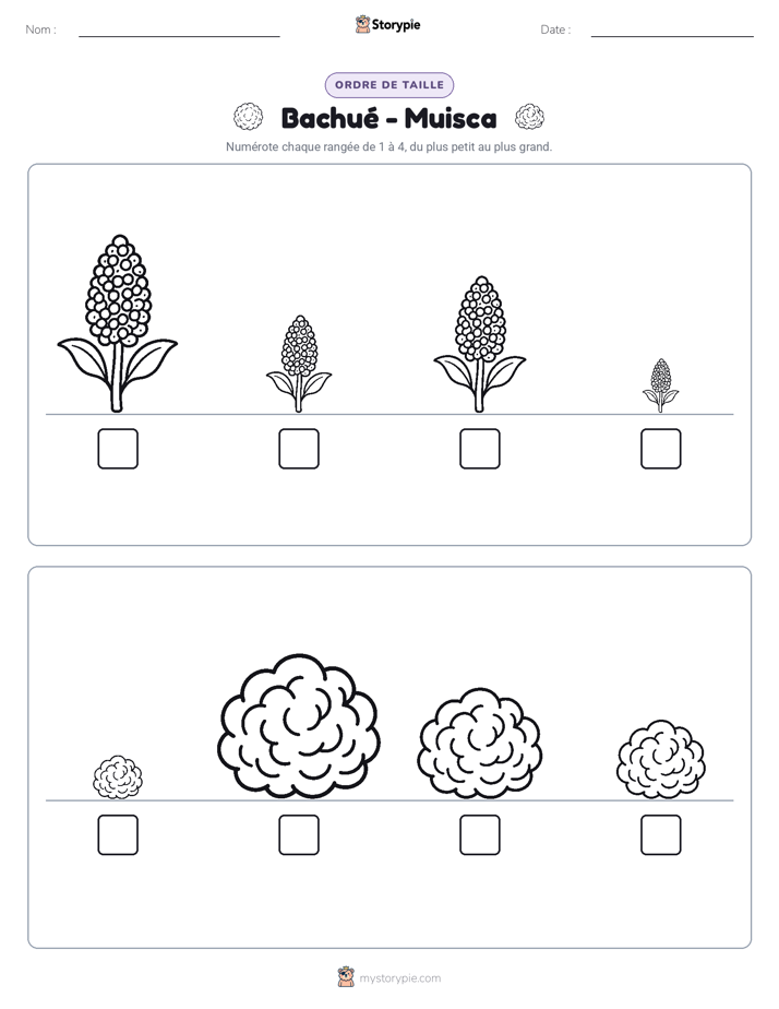 Ordre de Taille