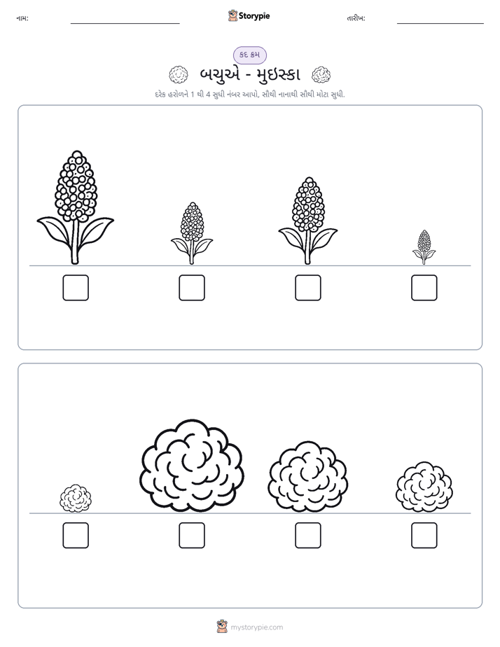આકાર ક્રમ
