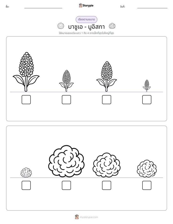 ลำดับขนาด
