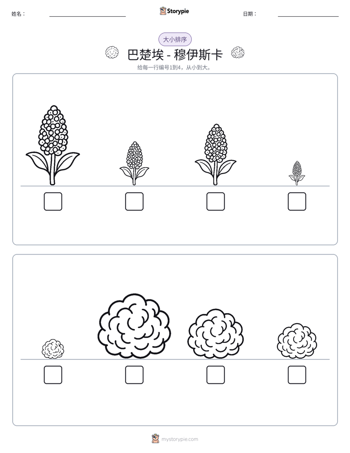 大小排序