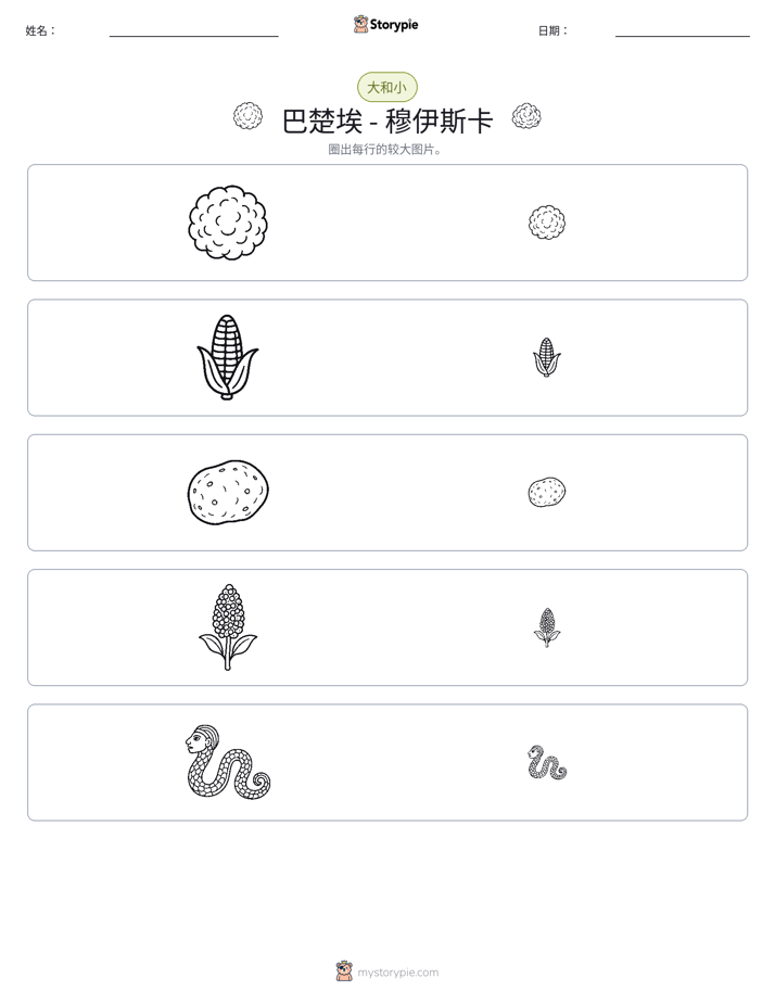 分类