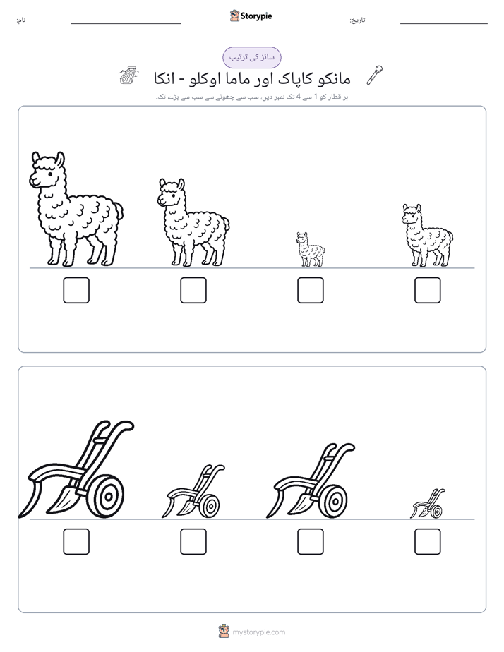 سائز کی ترتیب