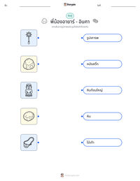 พี่น้องอายาร์ - อินคา ตัวอย่างแบบฝึกหัดที่พิมพ์ได้