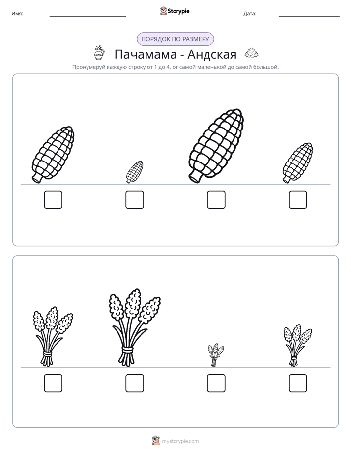 Размеры в порядке