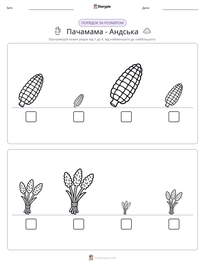 Порядок Розміру