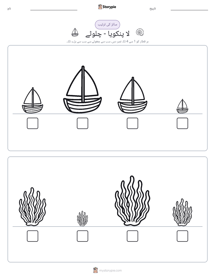 سائز کی ترتیب