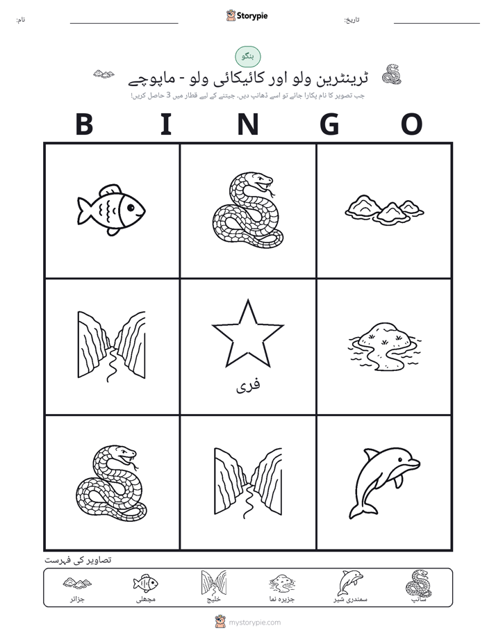 تصویری بنگو