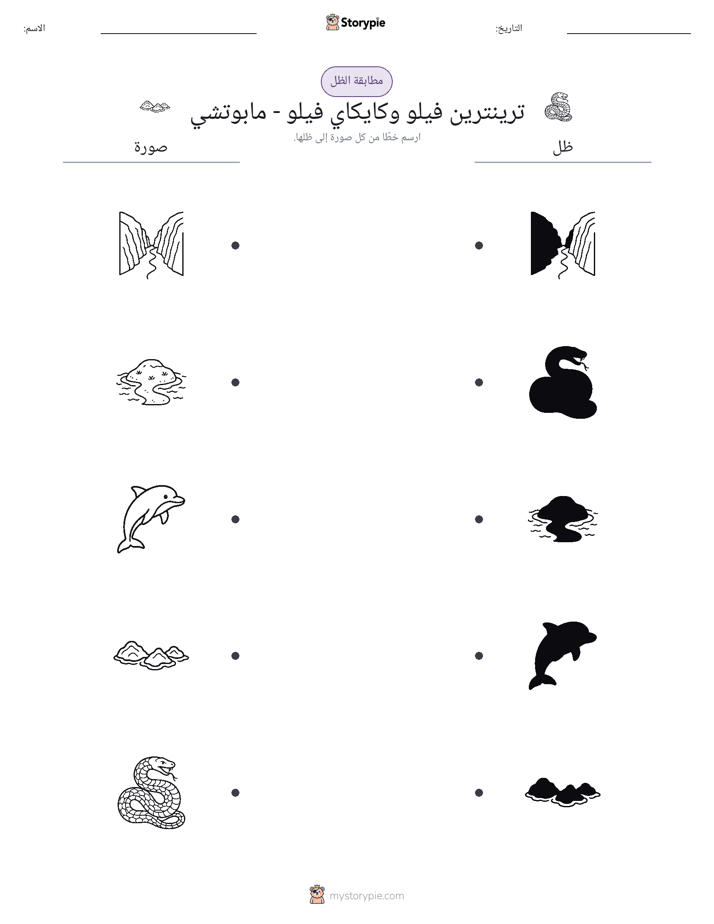 مطابقة الظل