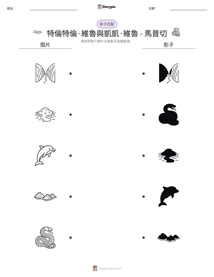 影子匹配