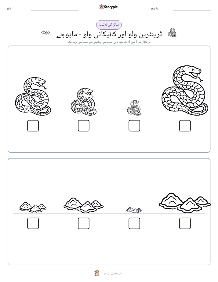 سائز کی ترتیب