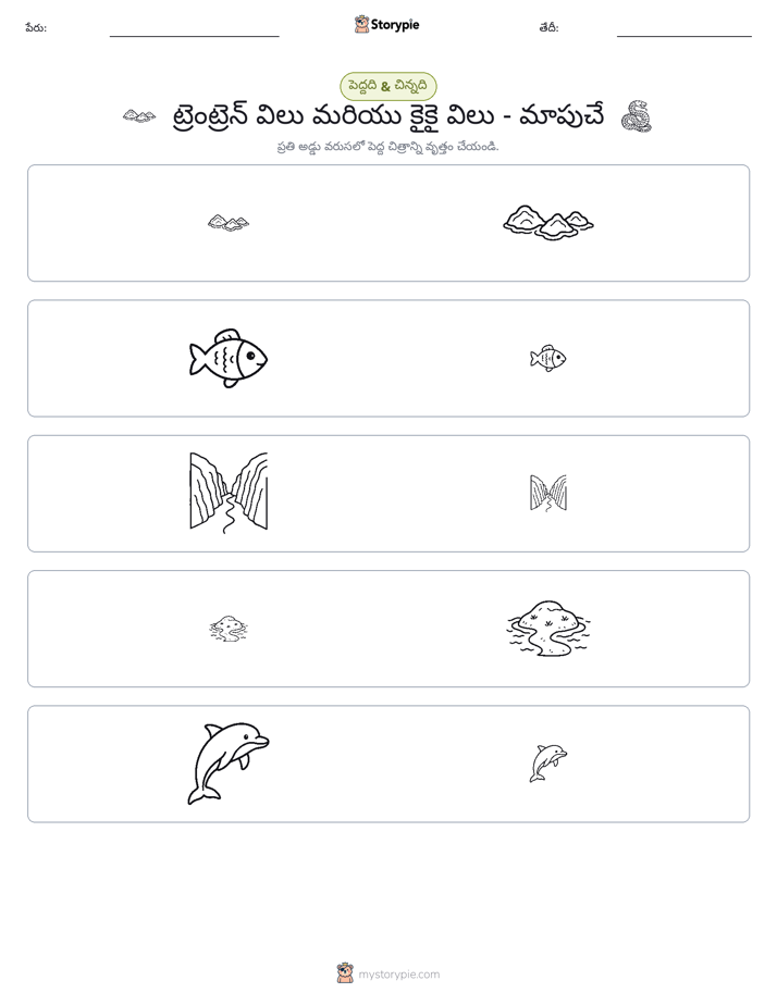వర్గీకరణ