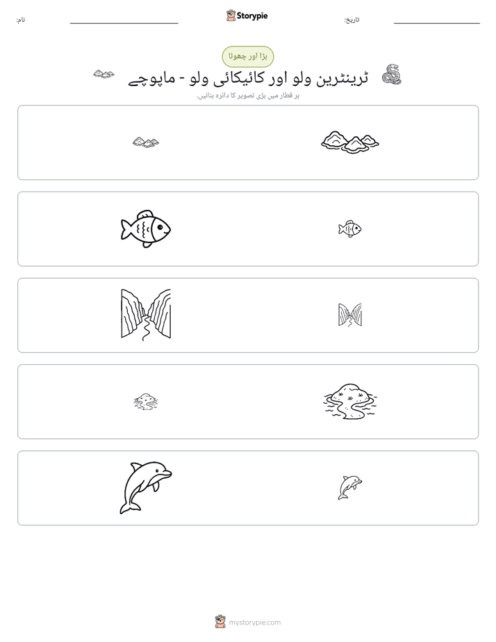 ترتیب دینا