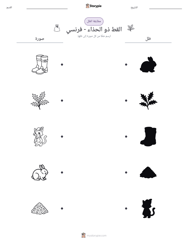مطابقة الظل