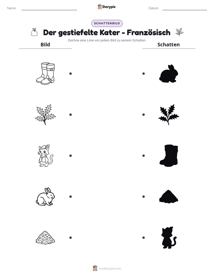 Schattenmatch