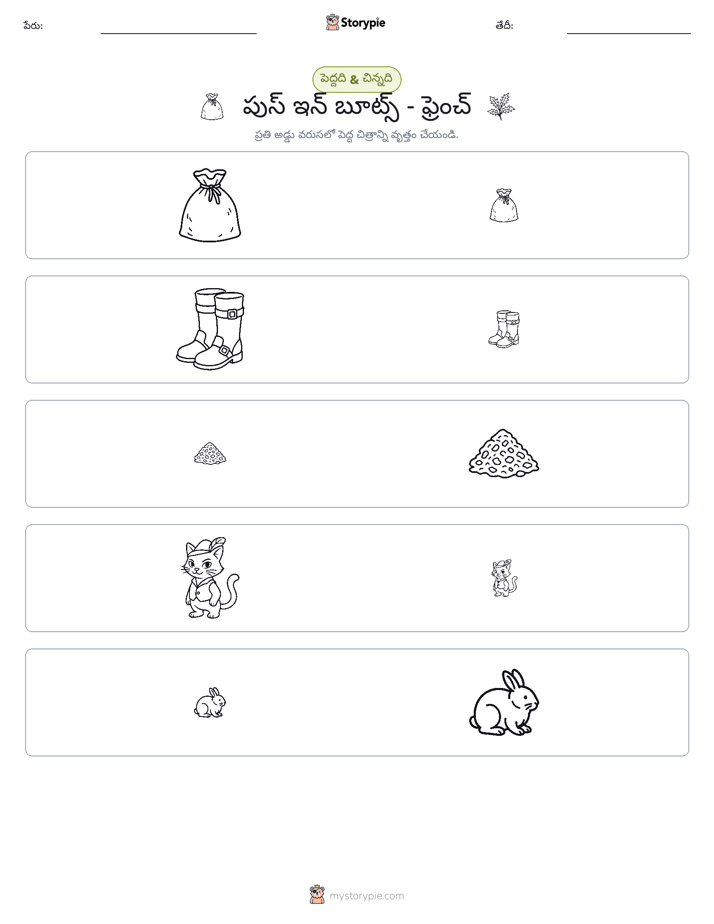 వర్గీకరణ