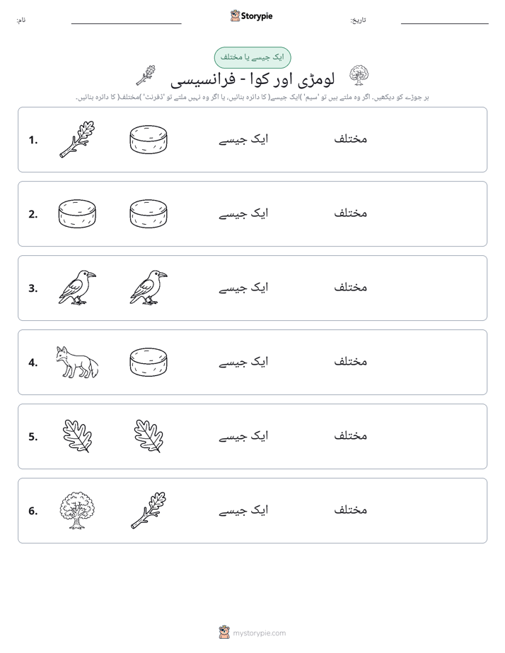 ایک جیسا یا مختلف