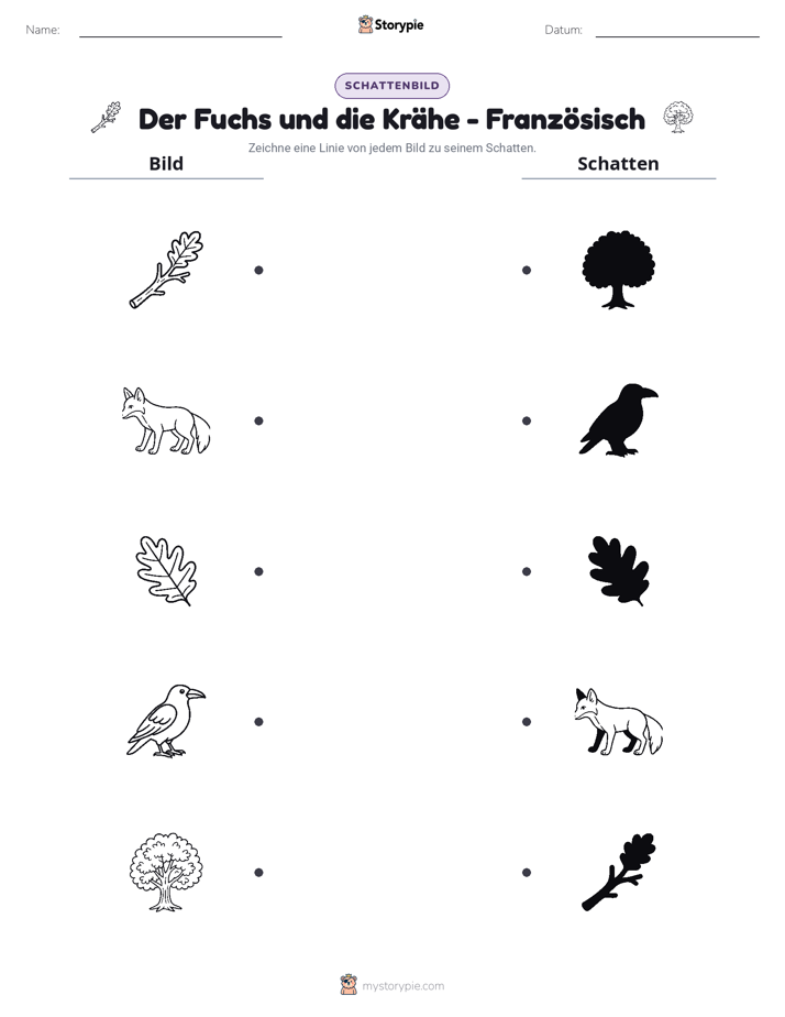 Schattenmatch