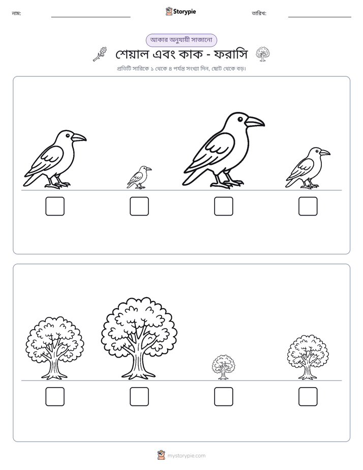 আকারের ক্রম