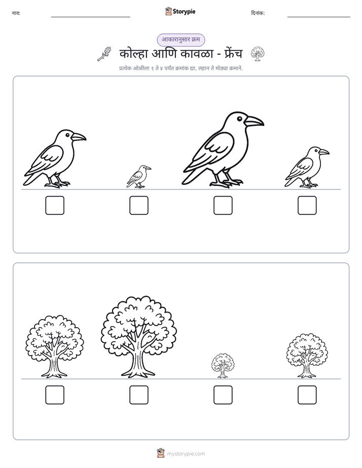 आकार क्रम