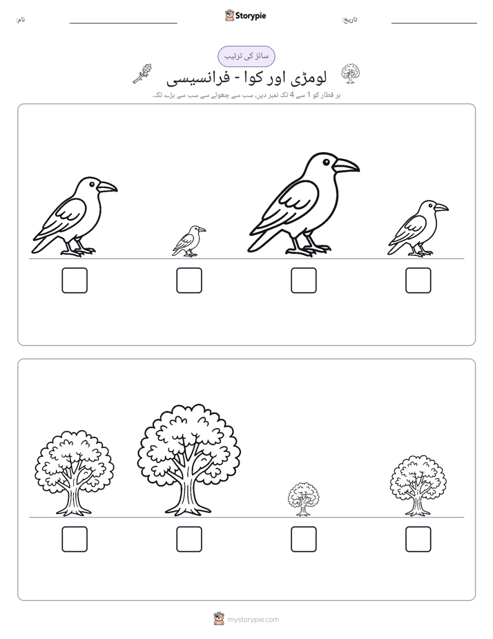 سائز کی ترتیب