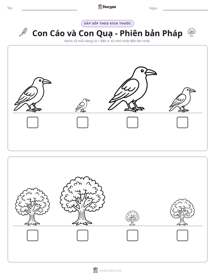 Thứ Tự Kích Thước