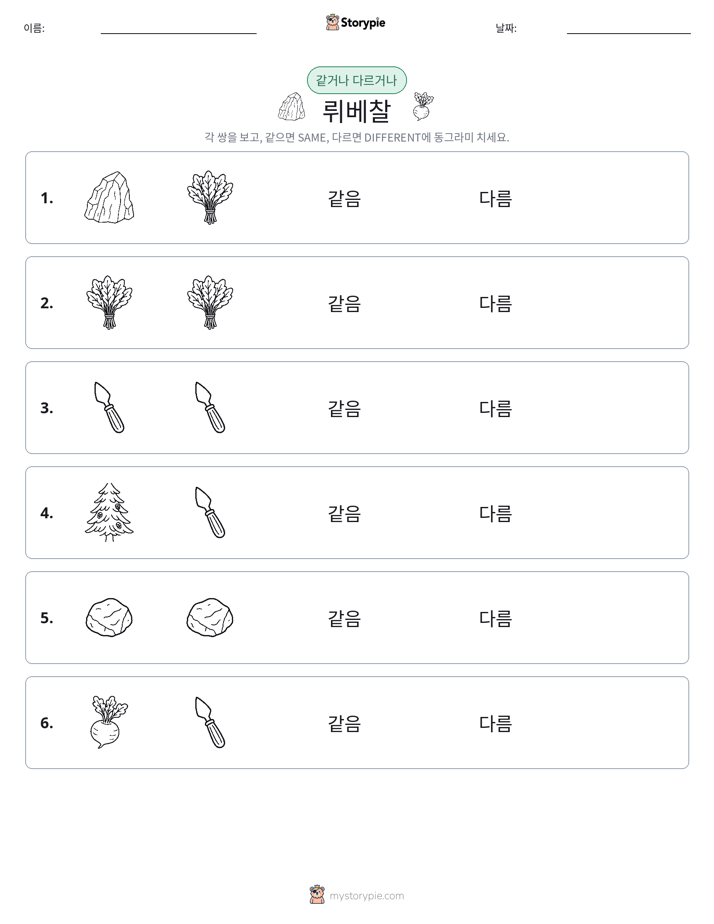같은 것 또는 다른 것