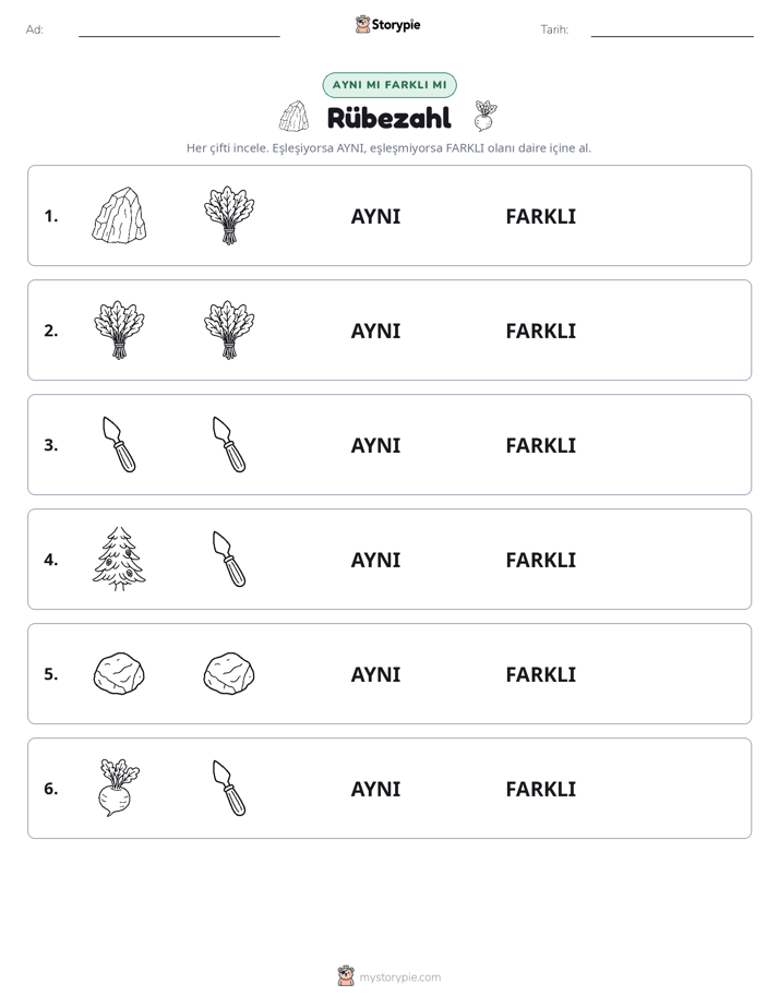 Aynı mı Farklı mı