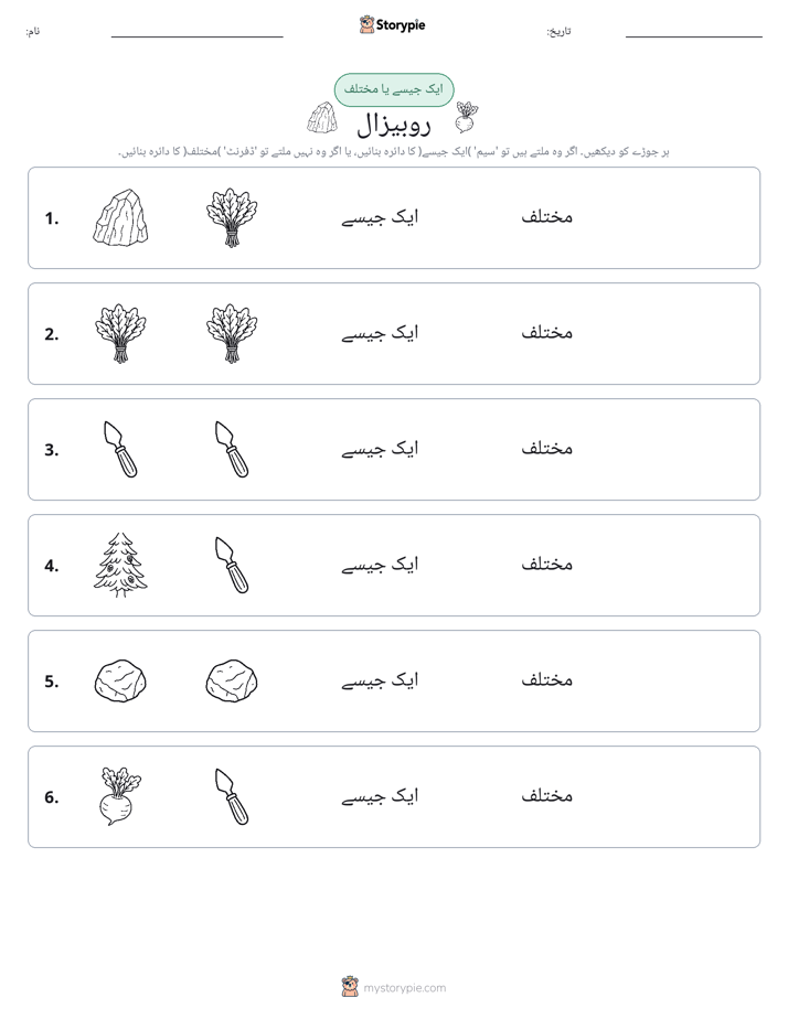 ایک جیسا یا مختلف