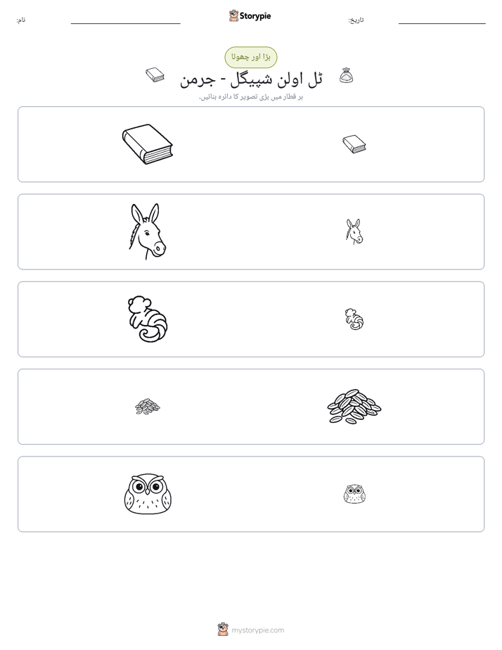 ترتیب دینا