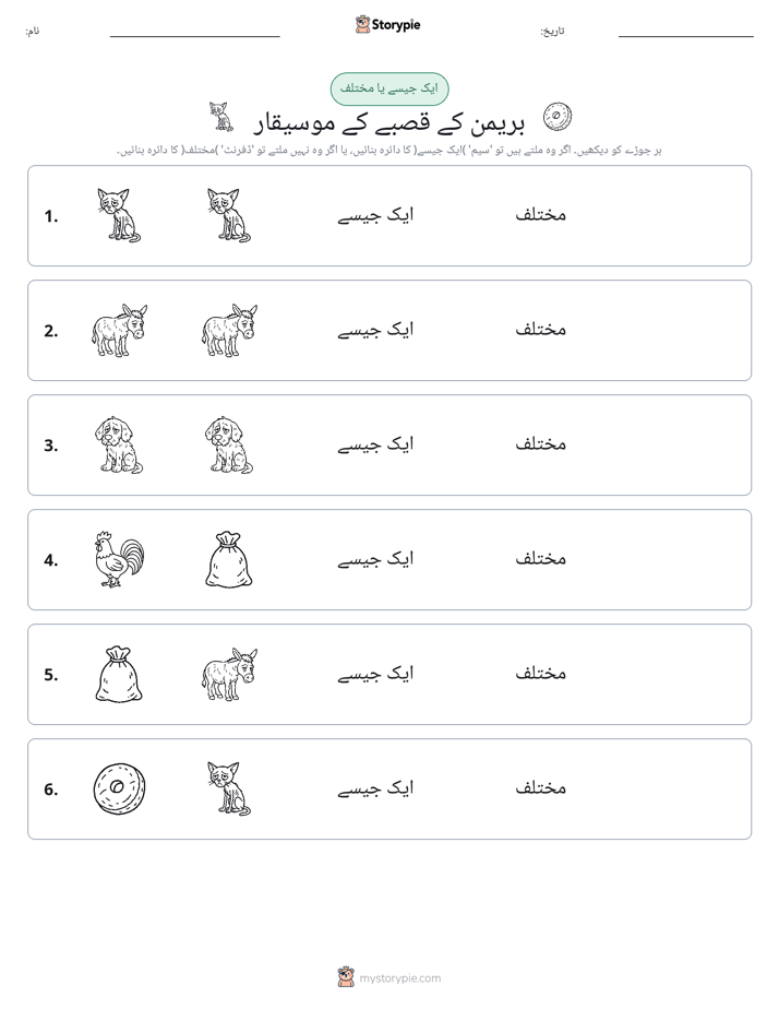 ایک جیسا یا مختلف
