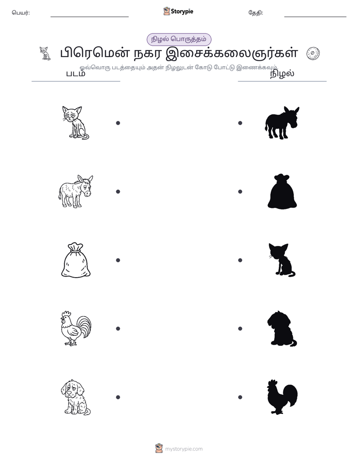 நிழல் பொருத்தம்