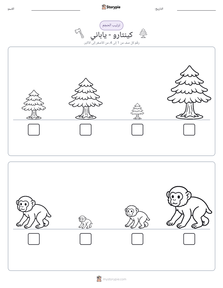 ترتيب الحجم
