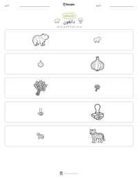 معاينة ورقة العمل القابلة للطباعة دانغون
