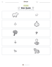 Xem trước tài liệu in sẵn Đàn Quân