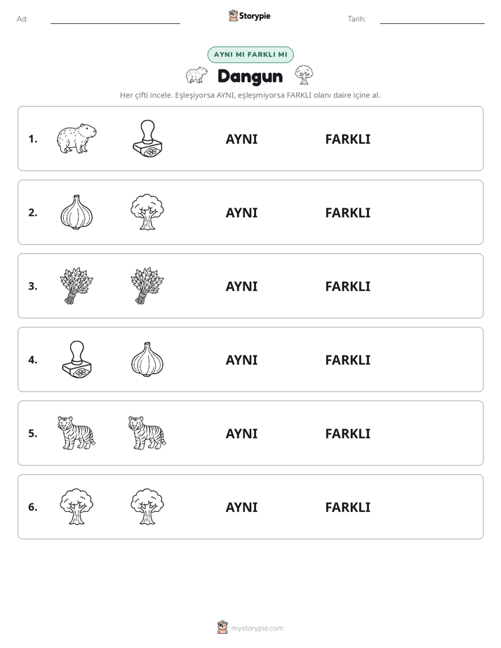 Aynı mı Farklı mı