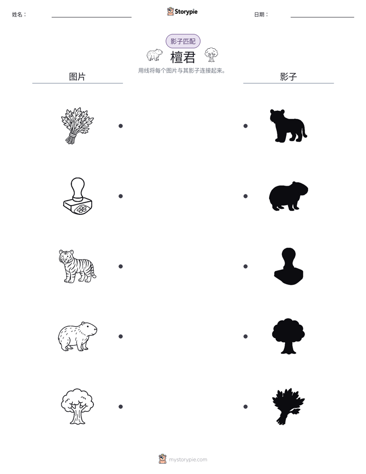 影子匹配