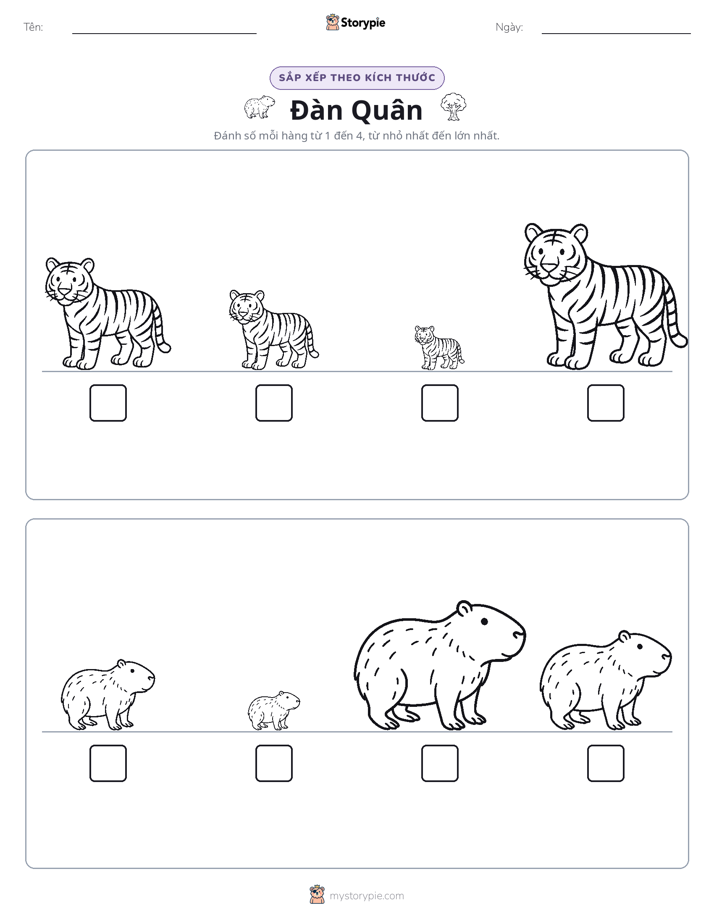 Thứ Tự Kích Thước