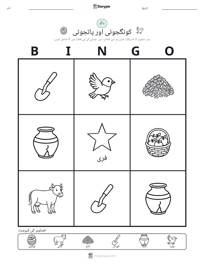 تصویری بنگو