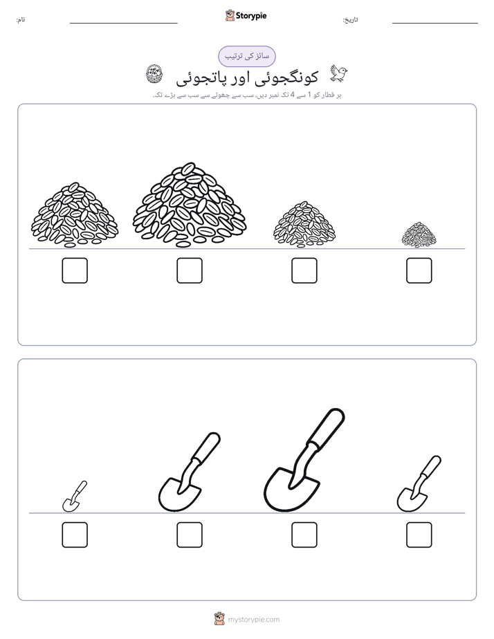 سائز کی ترتیب