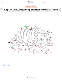 Kaplan ve Kurutulmuş Trabzon Hurması - Kore yazdırılabilir çalışma sayfası önizlemesi