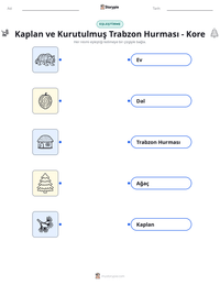 Kaplan ve Kurutulmuş Trabzon Hurması - Kore yazdırılabilir çalışma sayfası önizlemesi