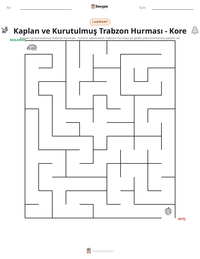 Kaplan ve Kurutulmuş Trabzon Hurması - Kore yazdırılabilir çalışma sayfası önizlemesi