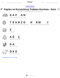 Kaplan ve Kurutulmuş Trabzon Hurması - Kore yazdırılabilir çalışma sayfası önizlemesi