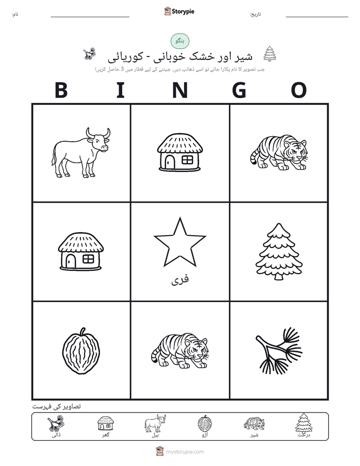 تصویری بنگو